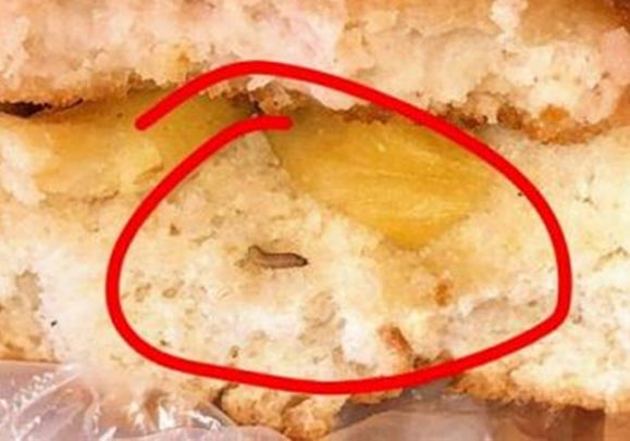 sandwich viermi alesd bihor