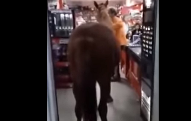 cal supermarket buzau