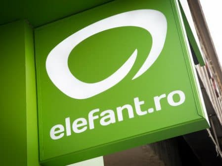 elefant