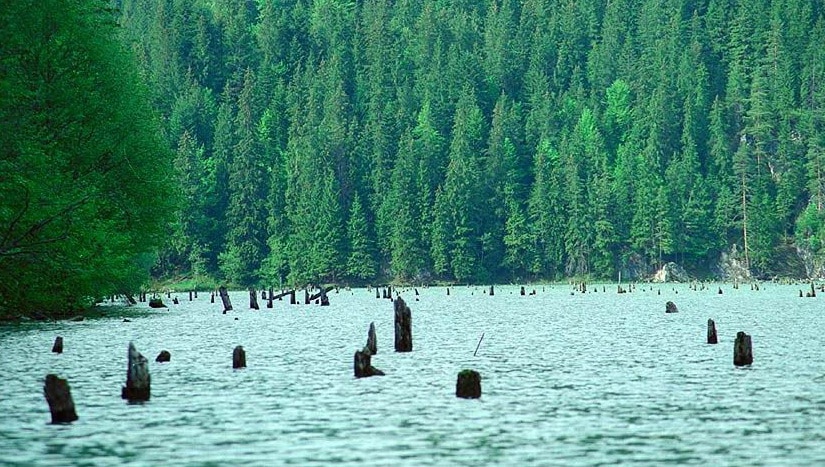 lacul rosu