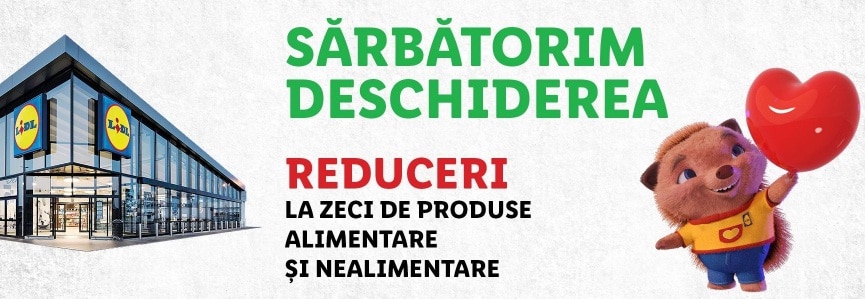 lidl targoviste