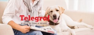 telegraf online constanta
